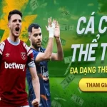cac-danh-muc-ca-cuoc-hot-tai-vsport