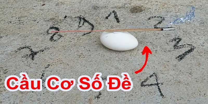 cau-co-so-de