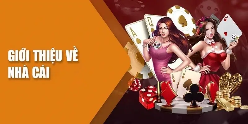 i9bet-tong-quan-nha-cai